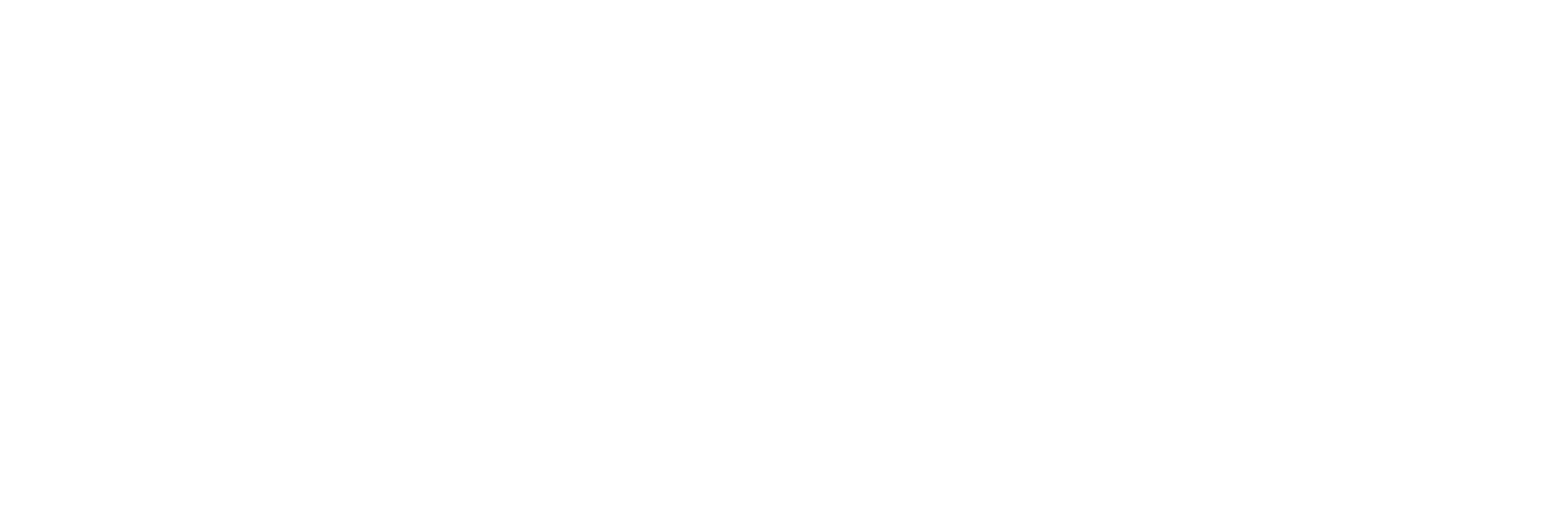 Wally Consultoria